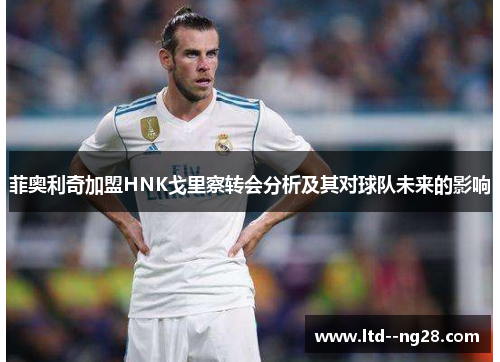 菲奥利奇加盟HNK戈里察转会分析及其对球队未来的影响