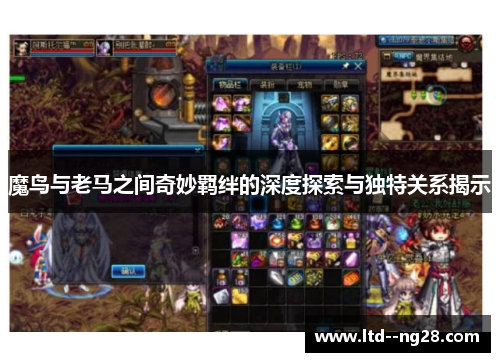 魔鸟与老马之间奇妙羁绊的深度探索与独特关系揭示